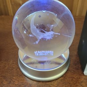 Capricorn crystal ball